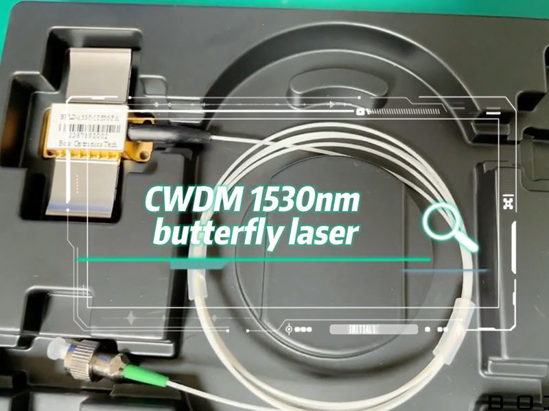 CWDM 1530nm 버터플라이 레이저